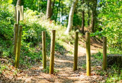 Du bois de qualité avec une longévité accrue