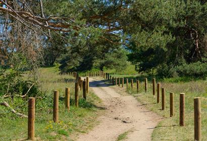 Hochwertige Holzpfähle mit langer Lebensdauer