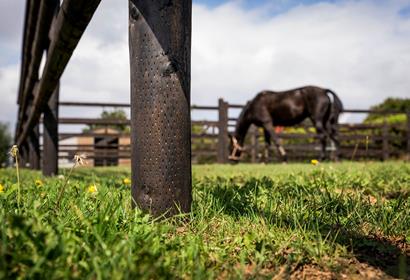 Livestock and agriculture - Wooden stakes and posts