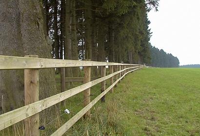 Stabile und langlebige Holzpfähle