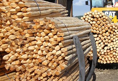 Herstellung der Holzpfähle